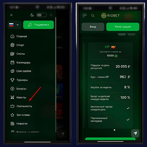 Программа лояльности