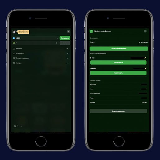 Профиль игрока